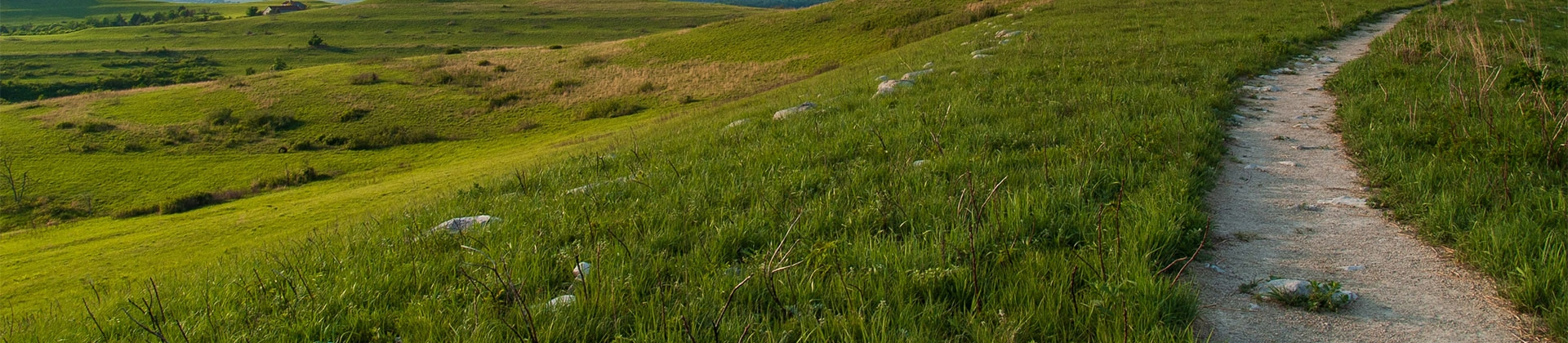 dirt hiking trail on the side of some rolling hills